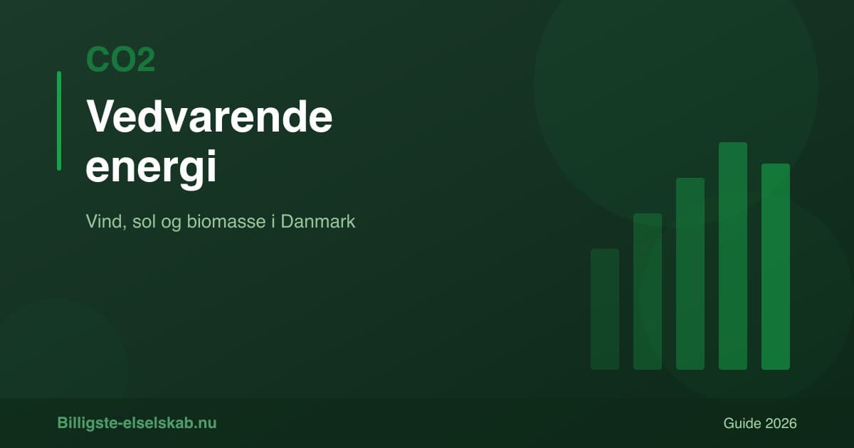 Hvad er vedvarende energi? → Vind, sol og biomasse i Danmark