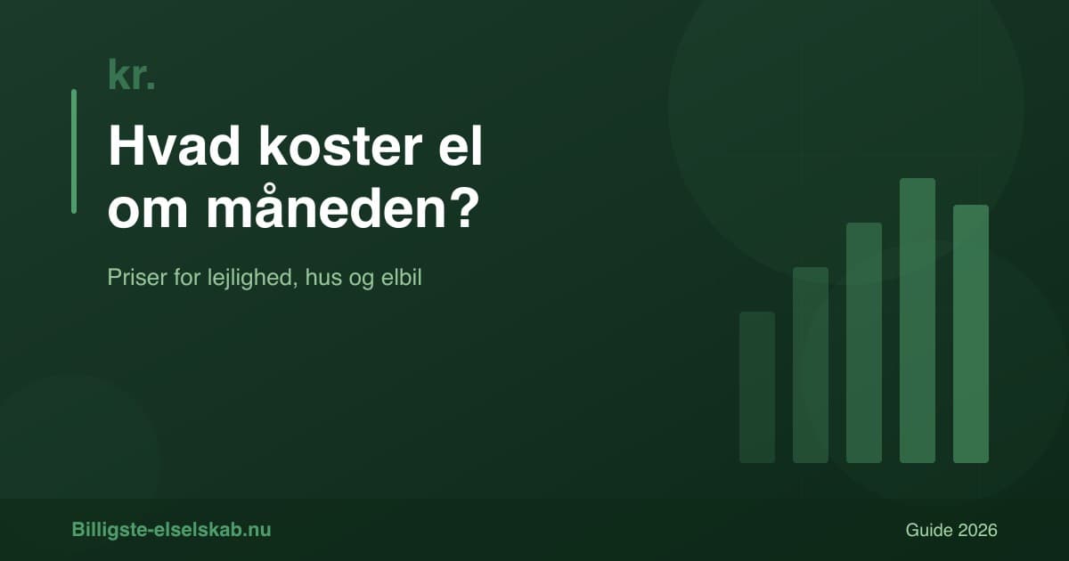 Hvad koster el om måneden i 2026? → Se dit forbrug