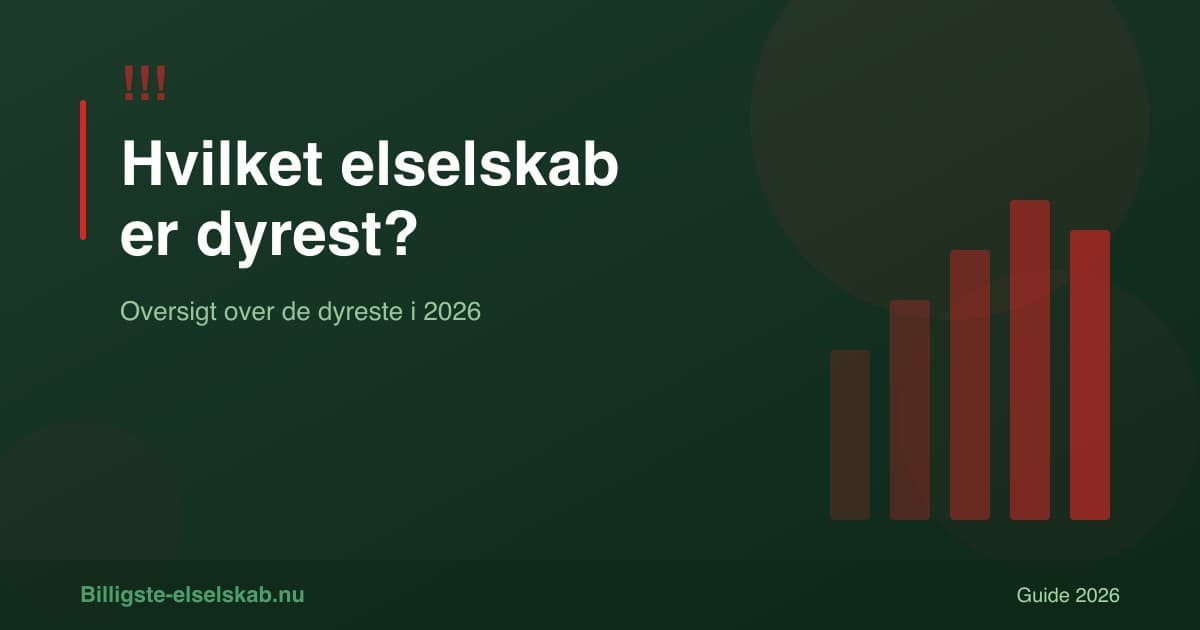 Hvilket elselskab er dyrest? → Se de dyreste i Danmark 2026